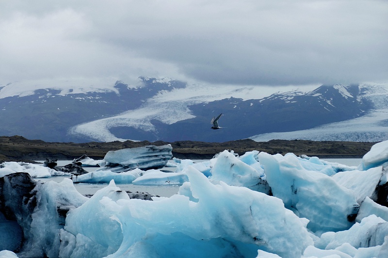 43. An Iceberg-Filled Lake