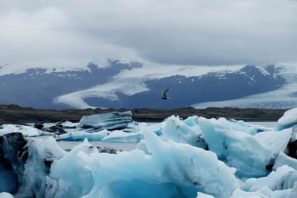 43. An Iceberg-Filled Lake by EdCerier