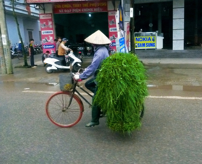 6. Hanoi