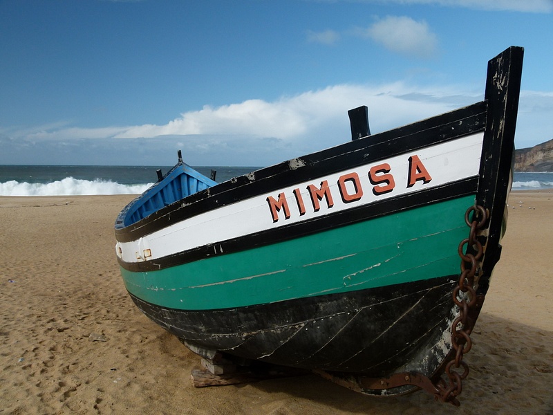 40 Nazare, Traiditional fishing boat, once hauled from the sea by oxen