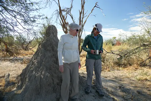 81. Alison, Gigi and Termite Mound by EdCerier