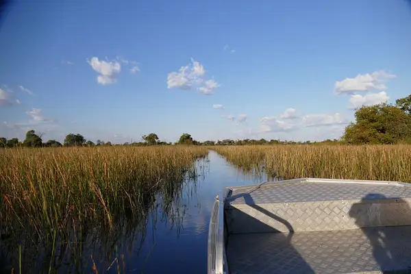 122 Okavango Delta by EdCerier