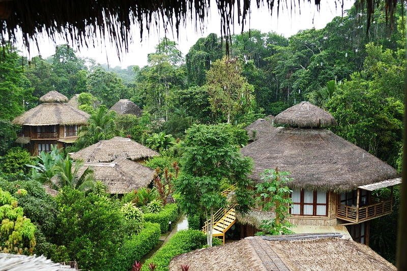 10. La Selva Lodge