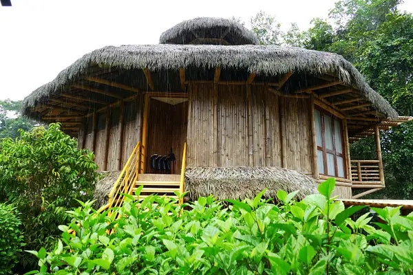 11. La Selva Lodge by EdCerier