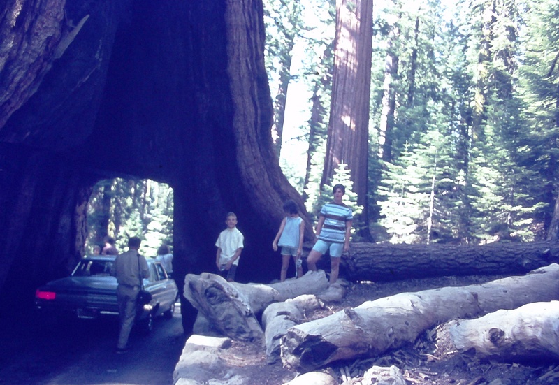 28. Susan, Eddie, Charlene, Wawona Tree, Yosemite, CA, Cross Country 1968