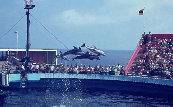 36. SeaWorld, CA, Cross Country 1968 by EdCerier