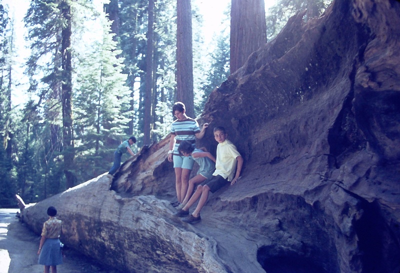 31. Susan, Eddie, Charlene, Yosemite, CA, Cross Country 1968