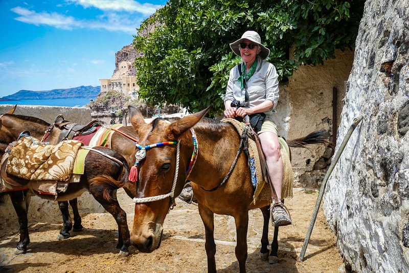 39. Donkey ride to the top of Santorini