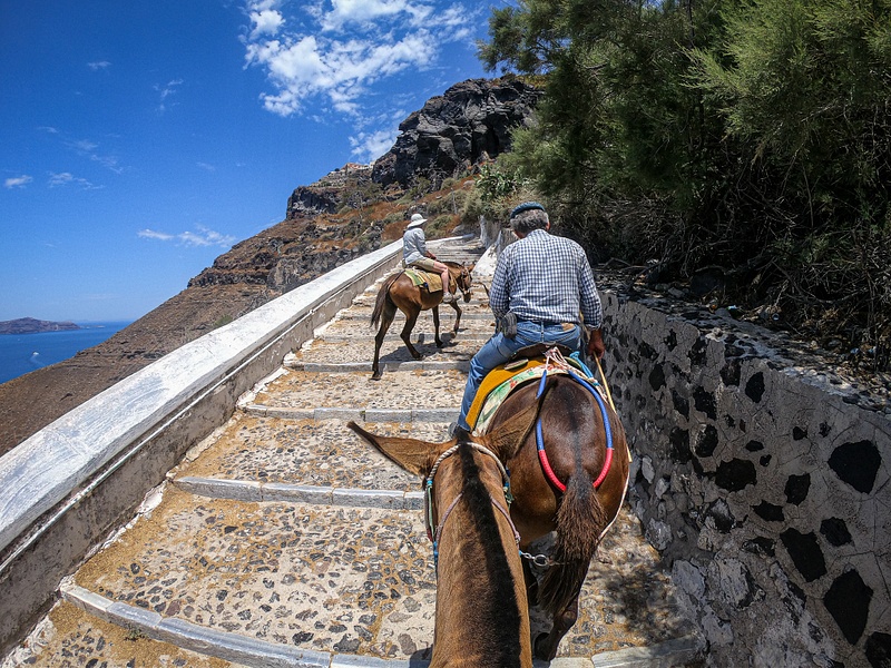 40. Donkey ride - Santorini