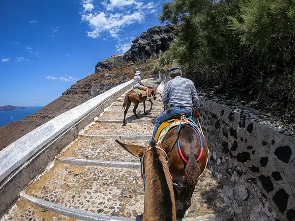 40. Donkey ride - Santorini by EdCerier