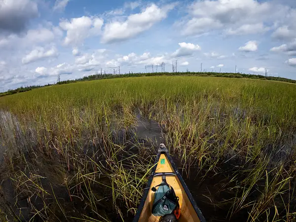 4 Canoeing through wild rice by EdCerier