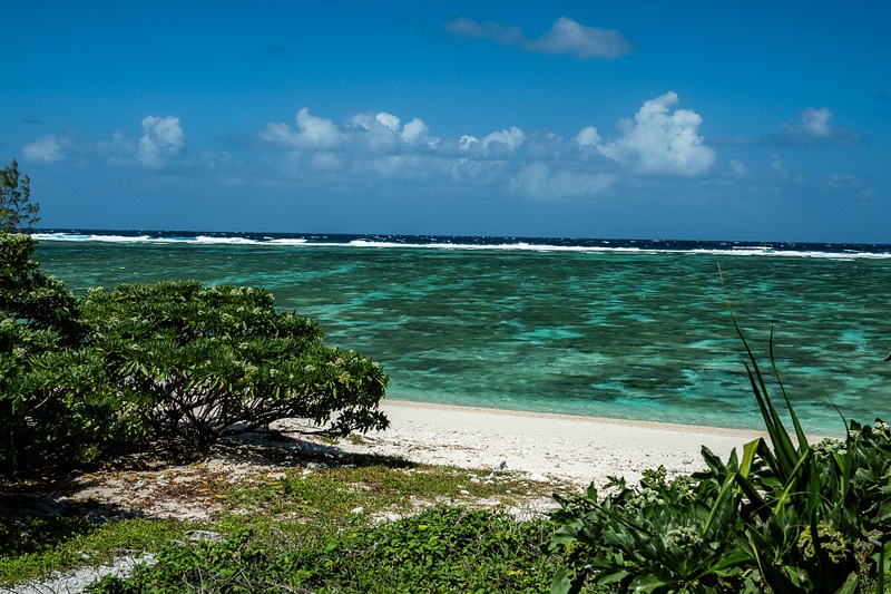 19. View from our room, Lady Elliot Island