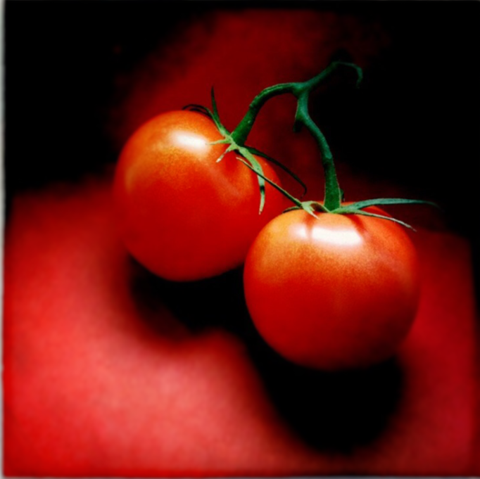 sun kisses red blushed tomatoes