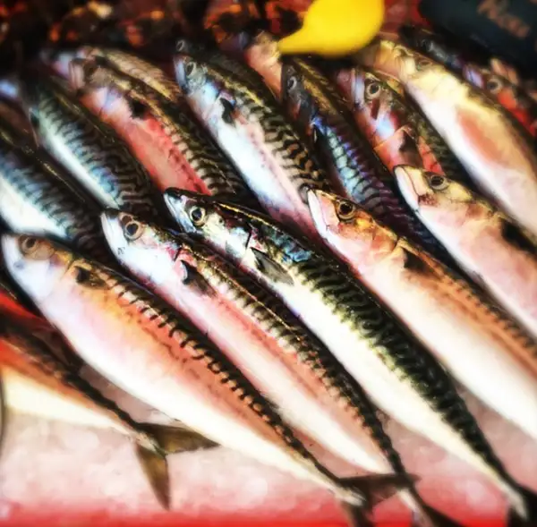 thailand fish market by Gabriel le Roux