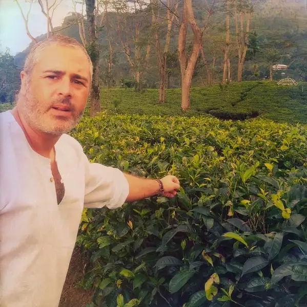 sri lanka tea plantation by Gabriel le Roux