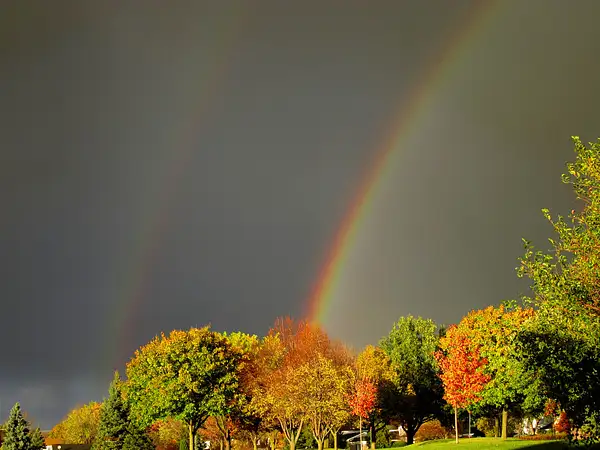 double rainbow by zippythechipmunk