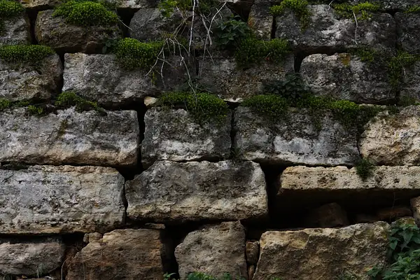 stone wall by zippythechipmunk