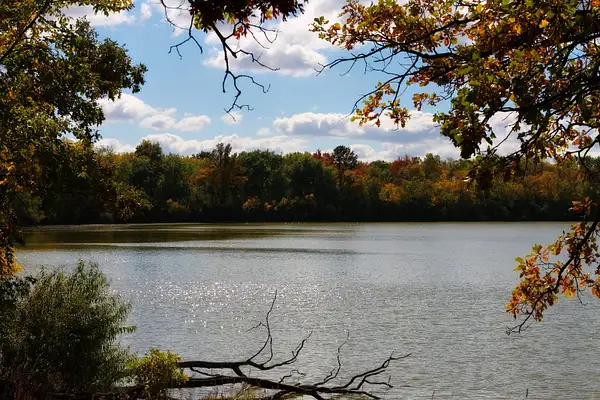 lake in autumn by zippythechipmunk