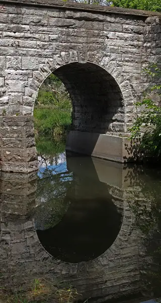 arch reflection by zippythechipmunk