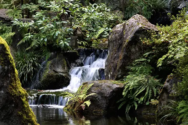japanese garden waterfall by zippythechipmunk