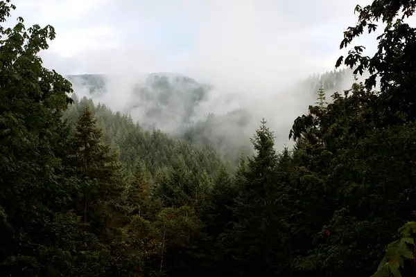 misty view by zippythechipmunk