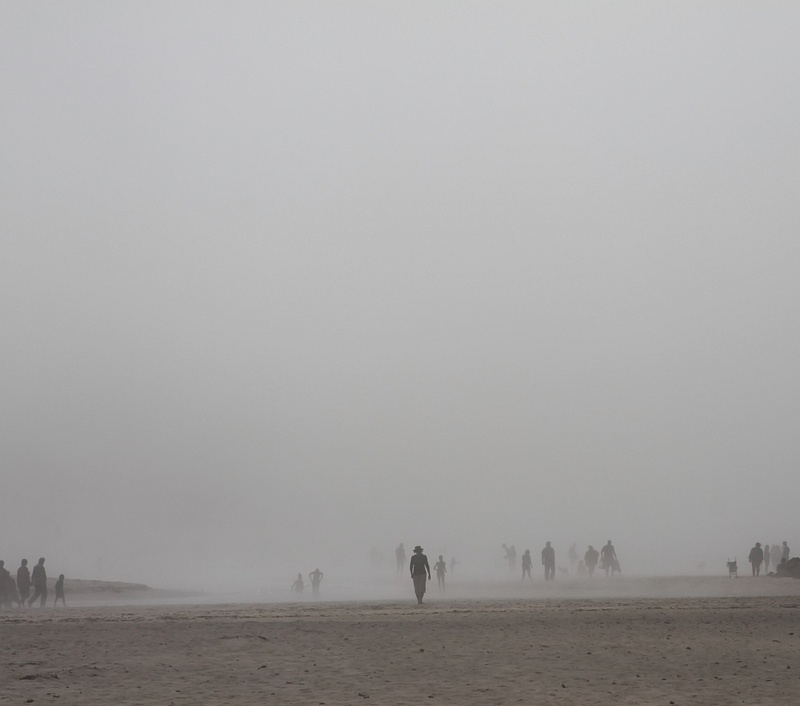 foggy walking