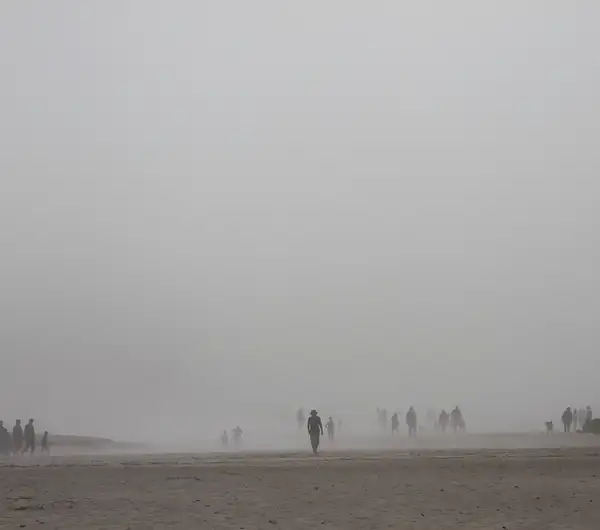 foggy walking by zippythechipmunk