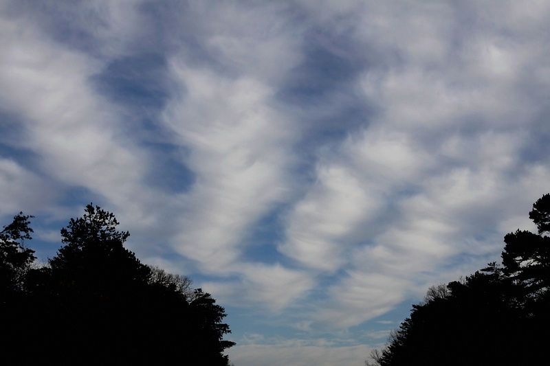 clouds in rows