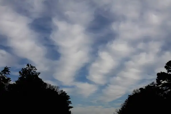 clouds in rows by zippythechipmunk