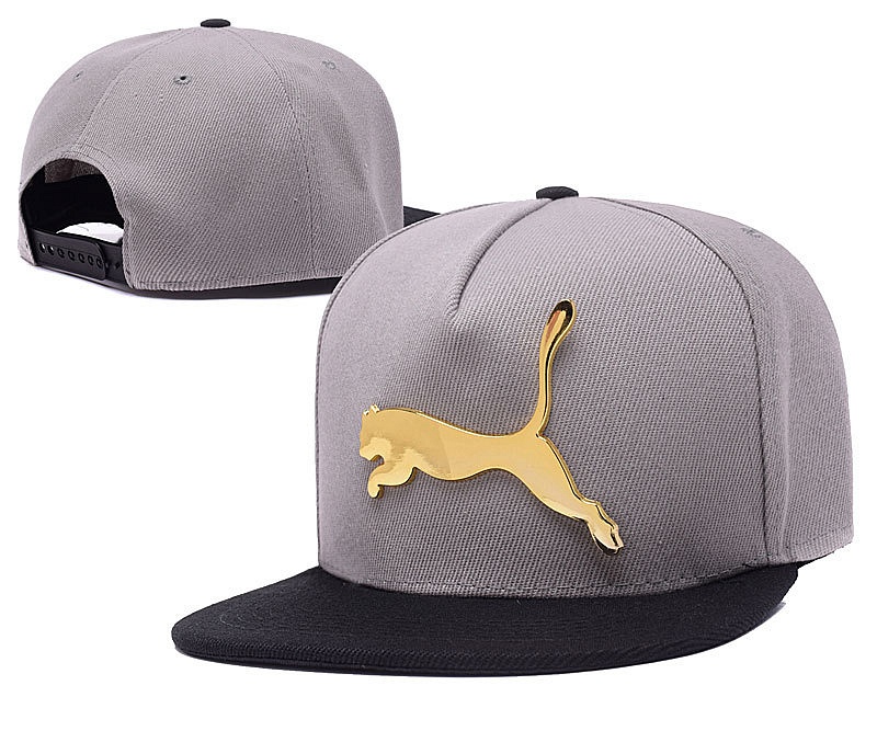 Puma Iron standard hip-hop hat big (1)