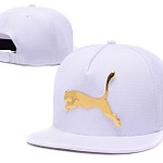 Puma Iron standard hip-hop hat