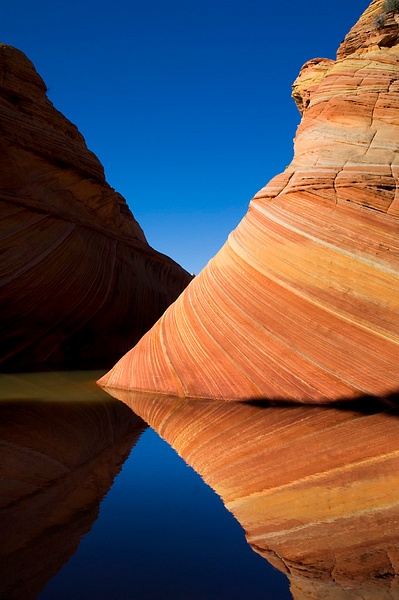 Striated sandstone reflected in seasonal pool of water at The Wave