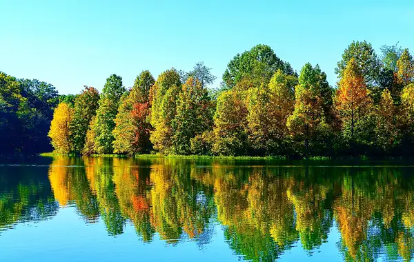 Fall at Little Seneca Lake - Black Hill Regional Park by...