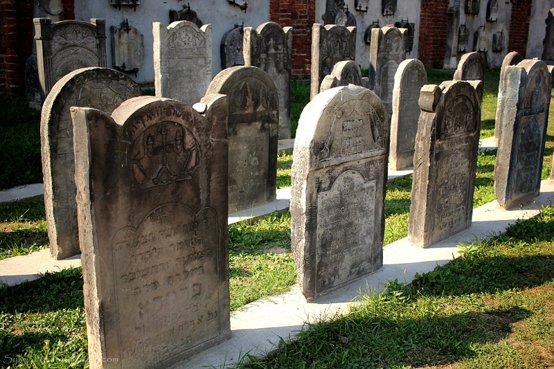 Jewish Cemetery - Lodz 005 Sylwia Nowak