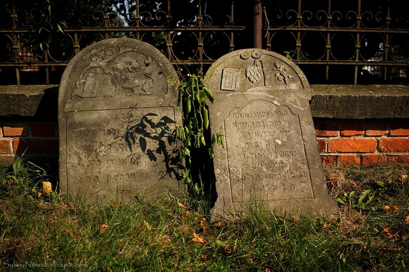 Jewish Cemetery - Lodz 007 Sylwia Nowak