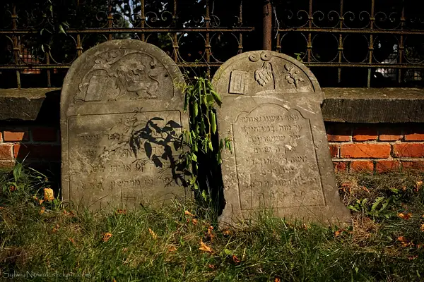 Jewish Cemetery - Lodz 007 Sylwia Nowak by Sylwia Nowak