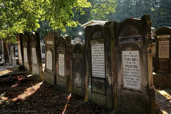 Jewish Cemetery - Lodz 011 Sylwia Nowak by Sylwia Nowak