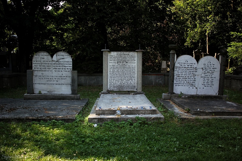 Jewish Cemetery - Lodz 012 Sylwia Nowak