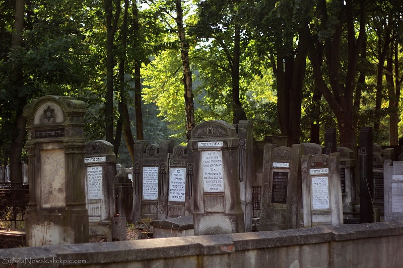 Jewish Cemetery - Lodz 013 Sylwia Nowak