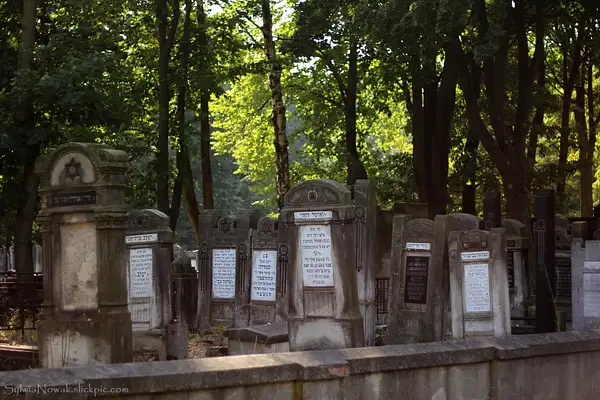 Jewish Cemetery - Lodz 013 Sylwia Nowak by Sylwia Nowak