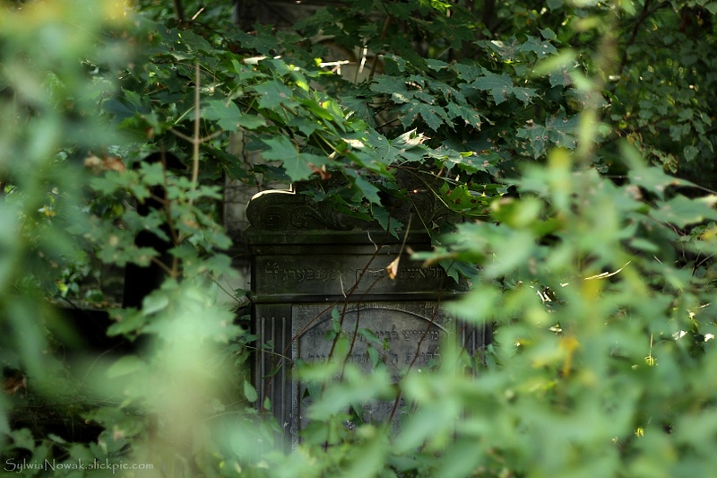 Jewish Cemetery - Lodz 015 Sylwia Nowak