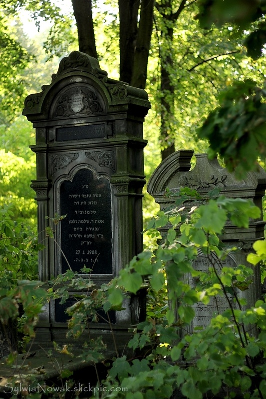 Jewish Cemetery - Lodz 017 Sylwia Nowak
