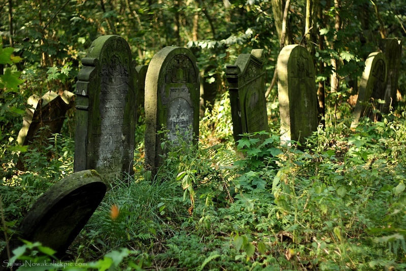 Jewish Cemetery - Lodz 019 Sylwia Nowak