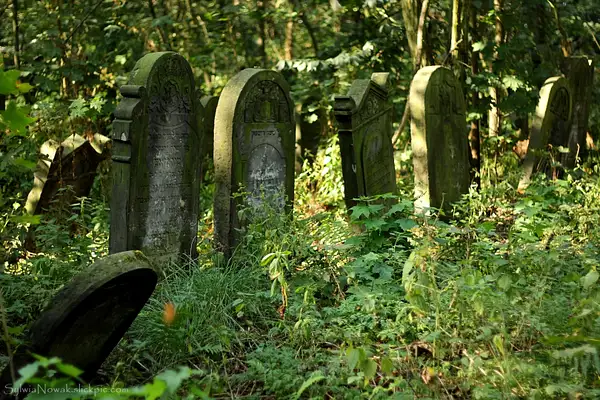 Jewish Cemetery - Lodz 019 Sylwia Nowak by Sylwia Nowak