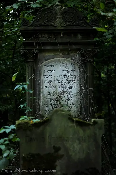 Grave, Jewish Cemetery, Lodz, Poland by Sylwia Nowak