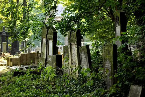 Jewish Cemetery - Lodz 022 Sylwia Nowak by Sylwia Nowak