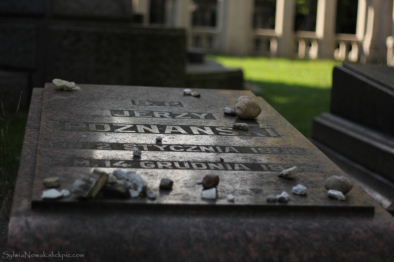 Jewish Cemetery - Lodz 026 Sylwia Nowak