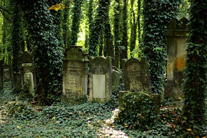 Jewish Cemetery - Lodz 029 Sylwia Nowak