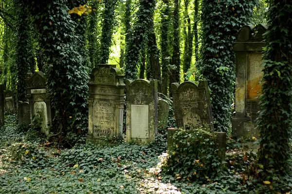 Jewish Cemetery - Lodz 029 Sylwia Nowak by Sylwia Nowak