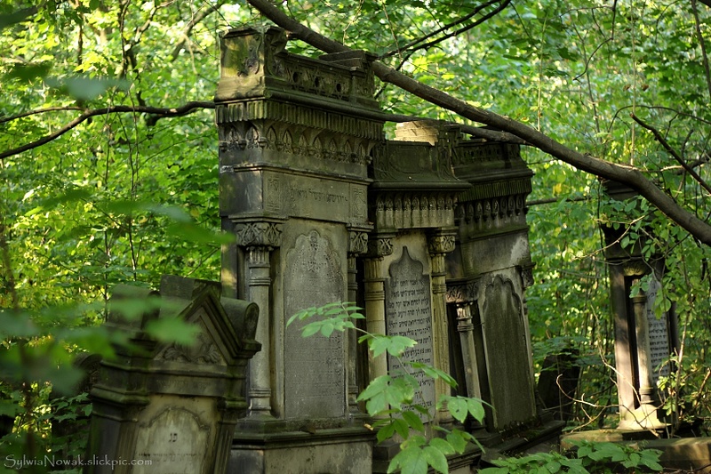 Jewish Cemetery - Lodz 031 Sylwia Nowak